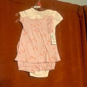 Carter's Pink and White Flamingo Outfit